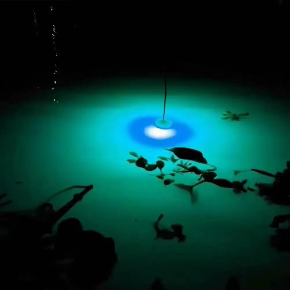 1Pcs LED Deep Drop Fishing Attraction Lure Underwater Eye Shape Fishing Squid Bait Fish Lure Light Flashing Lamps Pesca Lure