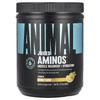 Juiced Aminos® Powder, Orange , 13.5 Oz (384 G)