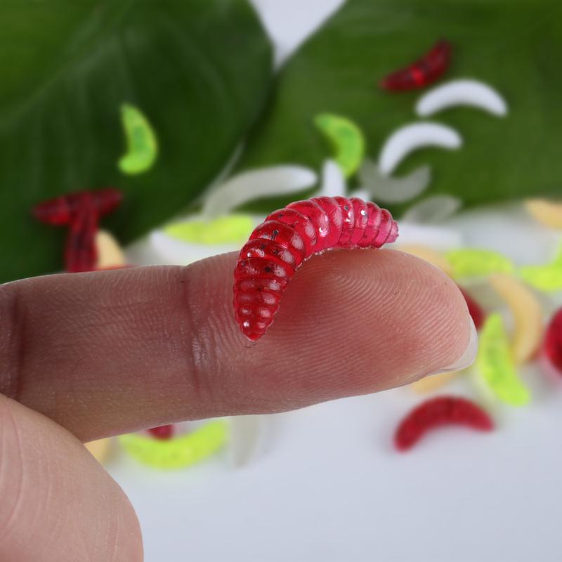 50 Esche Da Pesca In Silicone Morbido Verme Da 2,5 Cm (bianco) : Amazon.it: Sport E Tempo Libero