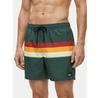 Шорты Для Плавания Quiksilver Everyday Printed Volley 15