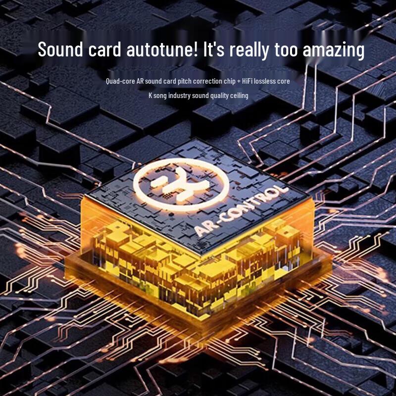 Jinyun K12PRO Portable Karaoke Speaker System