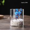 High Borosilicate Glass Hydroponic Vase & Desktop Planter - Straight Tube Design for Artistic Arrangements and Moss Ecosystem