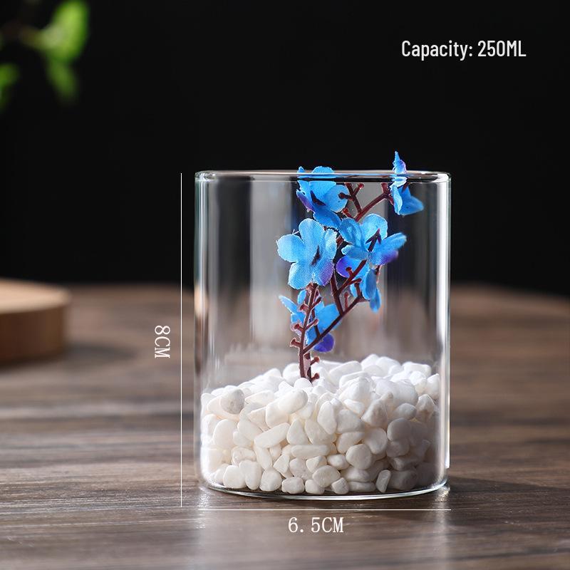 High Borosilicate Glass Hydroponic Vase & Desktop Planter - Straight Tube Design for Artistic Arrangements and Moss Ecosystem