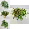 Plasticlysimachia Christinae Fake Branch For Wedding Decor And Studio Photography
