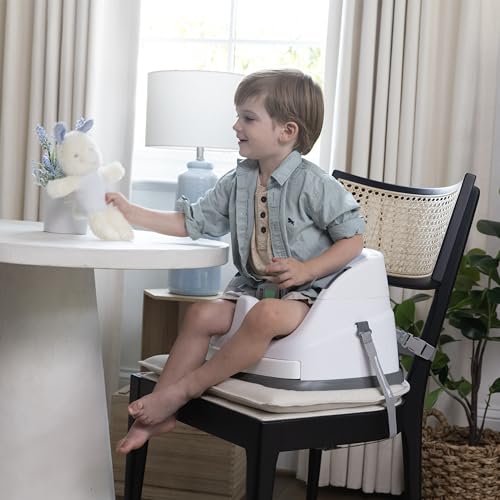 Ingenuity Baby Base Night Sky (16727)