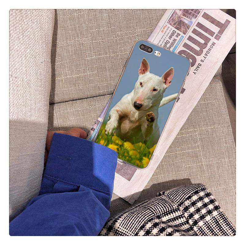 Bullterrier Bull Terrier Dog Phone Case For iPhone 13 X XS MAX 6 6s 7 7plus 8 8Plus 5 5S Se 2020 XR 12 11 Pro Max Fundas Capa