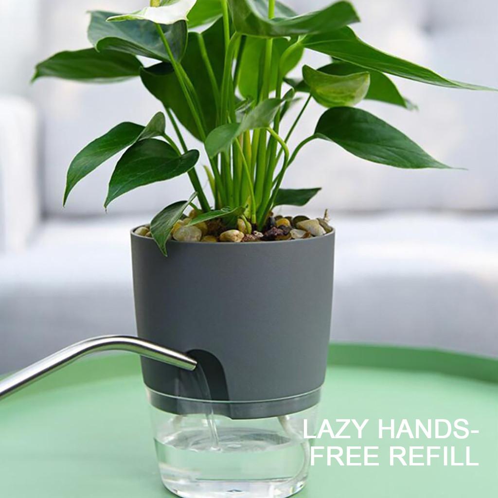 Lazy Flower Pot Automatic Water Absorption Plastic Pot Green Plant Water Culture