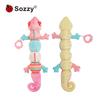 Sozzy Chameleon Baby Height Chart & Soothing Plush Toy, 0-1 Year Old Educational Doll