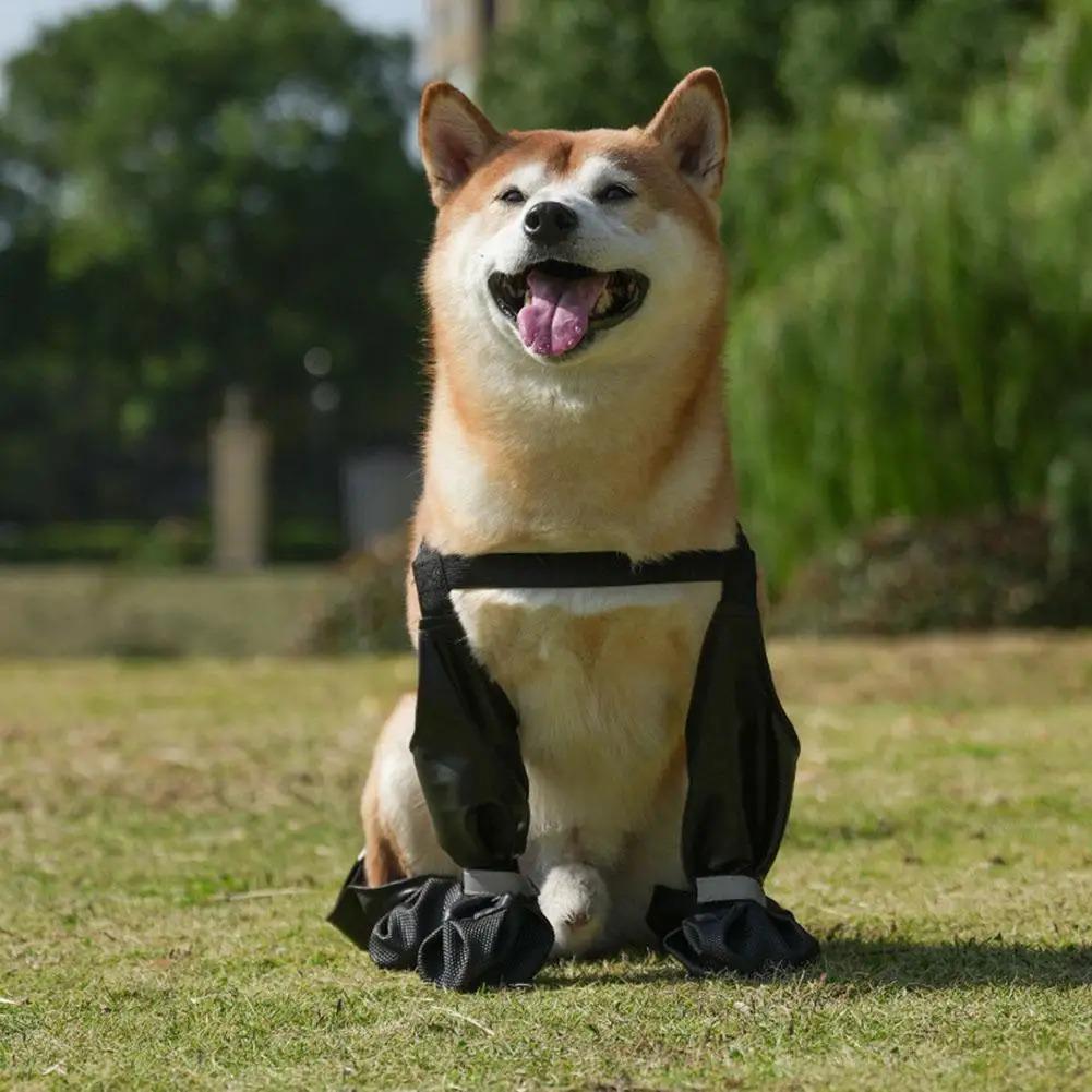 Best Anti-Slip Dog Shoes Pet Paw Protector Dog Rain Booties, Dirty-proof & Anti-fall Outdoor Dog Suspender Sock Shoes 2026