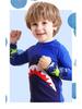 2025 Boys' Shark Print Long Sleeve Two-Piece Swimsuit Set