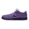 Concepts x Dunk Low SB