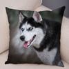 Pet Animal Sofa Cushion Cover Cute Siberian Husky Pillowcase Decorative Dog Print