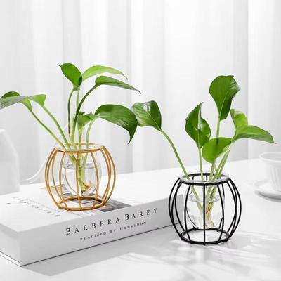 Vase 1 Stück Glasornamente Hydroponik Efeutute Wasser Wohnzimmerdekoration Büro Schreibtisch Blumenarrangeur