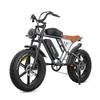 EBike X70 750W Dual Lithium Battery 34AH Long Range 40KM/H 20*4Fat Tire Electric Bike Mountain Electric Bicycle E-motorcycle