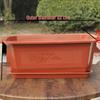 Large Rectangular Plastic Flower and Vegetable Planting Pot | Bonsai and Ficus Planter with Base