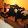 Simulation Black Scorpion Stuffed Animal Soft Creeping Playthings Unique Plushie Model Dolls Collection Ideal For Vintage Halloween