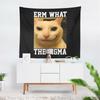 Aertemisi Erm What the Sigma Cat Funny Meme Tapestry Wall Hanging Art for Bedroom Living Room College Dorm Party Backdrop