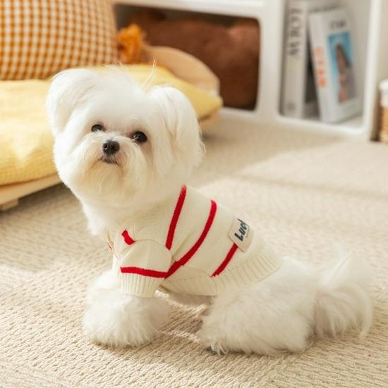 Striped Thickened Front-Opening Sweater for Small and Medium-Sized Dogs