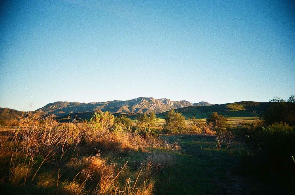 Kodak ULTRAMAX 400 Color Negative 36 Film, 35mm, Exposures, 5-Pack