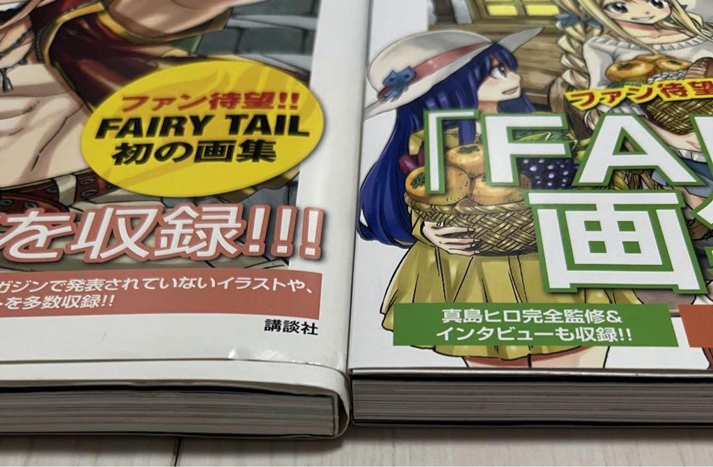 [USED] FAIRY TAIL Illustration Collection FANTASIA & HARVEST