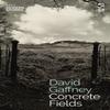 Concrete Fields by David Gaffney Paperback Book 9781784633035