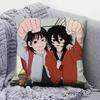Look Back  Home Sofa Cushion Covers and Aecorative Custom Pillow Covers
