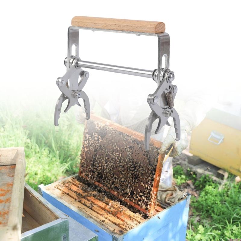 

Stainless Steel Beekeeping Frame Gripper With Smooth Wood Handle For Secure Hives Frame Handling China Mainland
