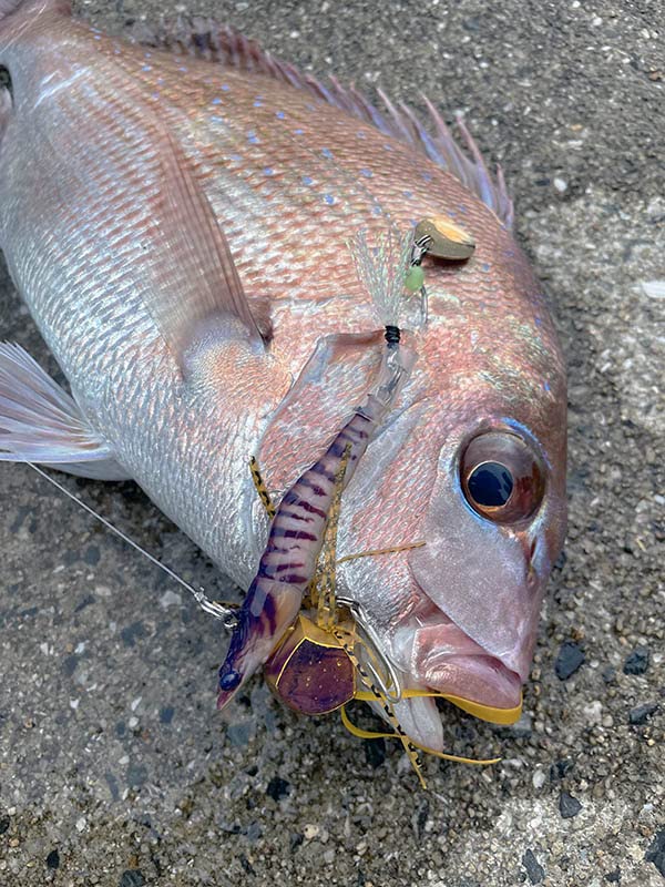 LITTLE JACK EBINEM GREEN GOLD (20g, #06 UV)