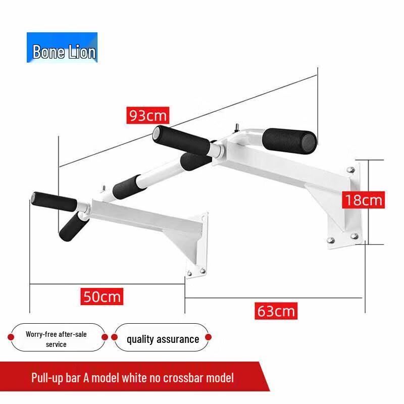 Wall-Mounted Pull-Up and Parallel Bars