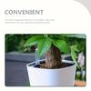 Six 180# plastic water level markers for gardens, water level markers for plant root rot control tools to help plants breathe and grow healthily