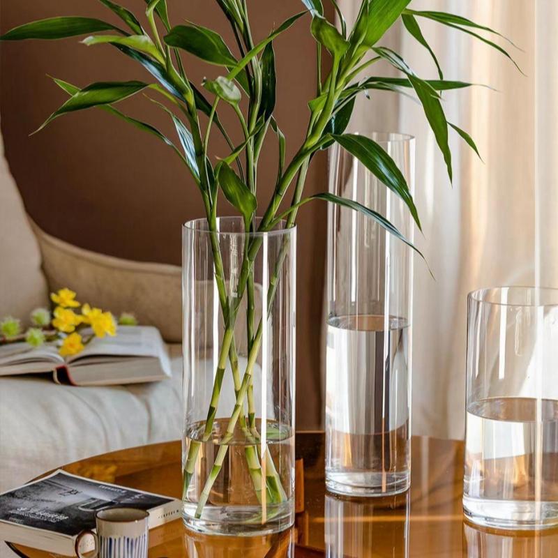 Hydroponics Plants Desktop Glass Planter Vase Acrylic Hydroponic Awakening Flower Bucket Transparent Cylinder Flower Vase