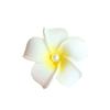 Pearl Plumeria Flower Hair Clips For Women Girls Hairpins Egg Flower Barrette Hawaiian Wedding Party Bag Hat Accessories