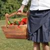 Portables Picnics Table Corrosions Resistant Table Travel Friendly Table for Family Outings
