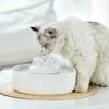 Ceramic Cat Water Dispenser Dog Automatic Flow Cycle Filtration Running Water Pet Electric Water Feeder 2.1L Capacity USB