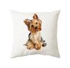 45x45cm Cute Cat Cushion Cover Polyester Throw Pillow For Bed Living Room Sofa Office Seat Car Kids  Decor Home