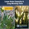 1PC Solar Bubble Reed Garden Lights Warm White RGB Outdoor Waterproof LED Pathway Lights for Yard Patio Lawn Landscape Decor