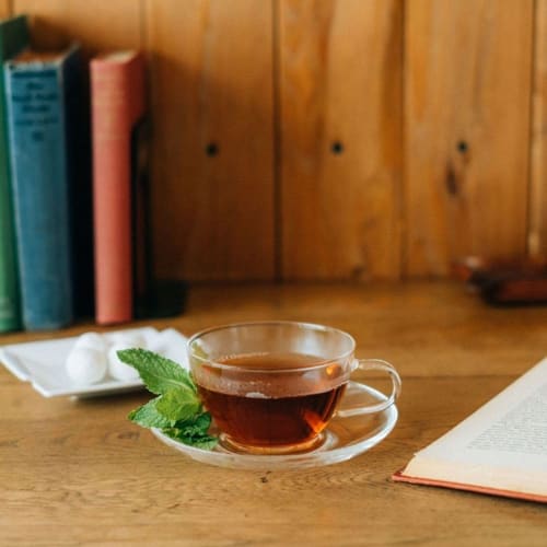 HARIO Heat-Resistant Teacup & Saucer, 230ml, Microwave and Dishwasher Safe, Made in Japan, TCSN-1T