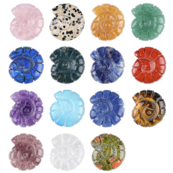 

Фигурка раковины-конуса из натурального камня Лечебный камень Морское украшение Бохо Пляж Полированный натуральный драгоценный камень Подарки для мужчин женщин Random Style