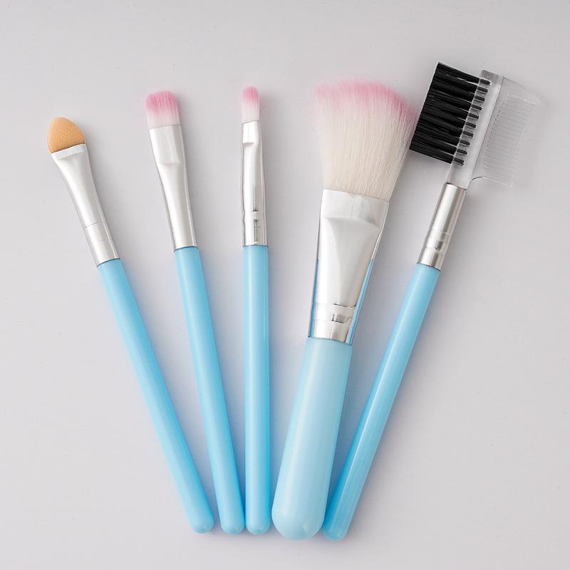 5-Piece Pink & Black Makeup Brush Set: Eyeshadow, Lip, Blush, Eyelash Brushes