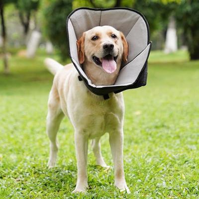 Yousheng Pet Collar Soft Comfortable Pet Recovery Collar Adjustable Dogs Cats Protective Cone Collar for Post-Surgery