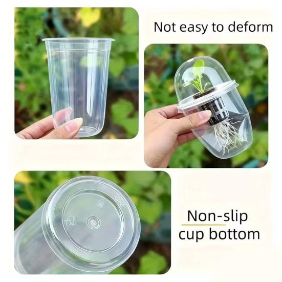 Pflanzenvermehrungsstation Samen Pflanzgefäß Transparenter Becher mit Sämlingen Pflanzenkeimung Starter Hydroponischer Korb Kuppelförmiger Deckel