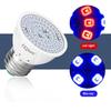 E27 LED Plant Grow Light 110V 220V Hydroponic Growth Light Full Spectrum Indoor Hydroponics Flower Seedling Phyto Lamp