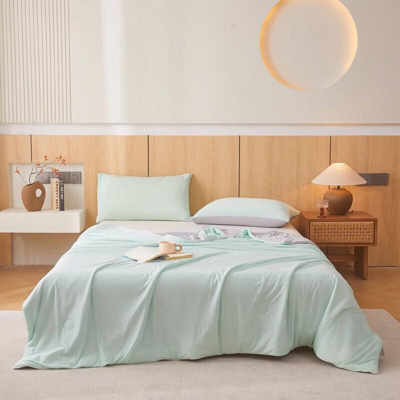 Belle Anna Mica Cooling Silk Quilt