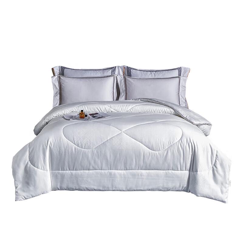 

Bamilo Premium All-Season Polyester Quilt