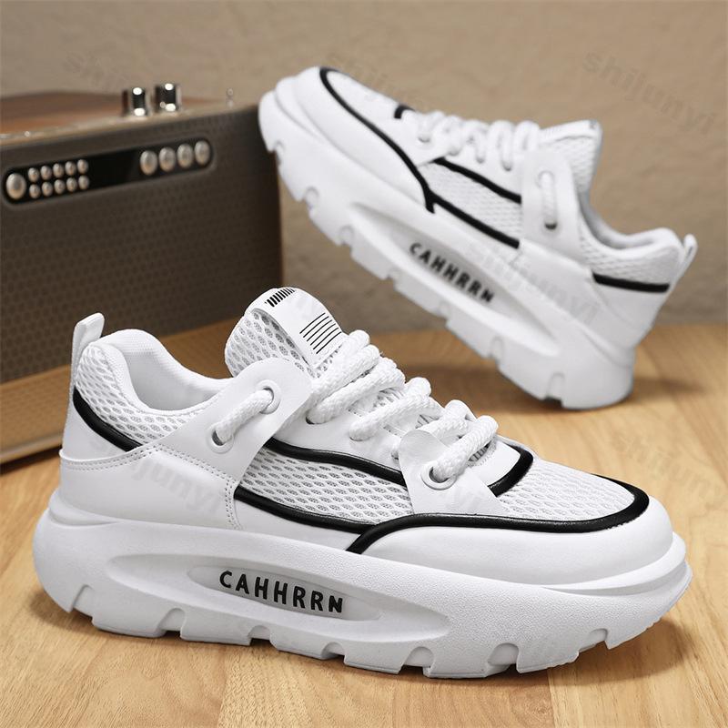 Fashion Niche Designed Low Top Casual Sports Shoes for Men 2025 Autumn New Fashion Versatile Mesh Breathable Comfortable Chunky sneakers