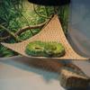 Suction Cup Pet Climbing Net Breathable Mesh Pet Bed Swing Reptile Mesh Hammock  Reptile Play