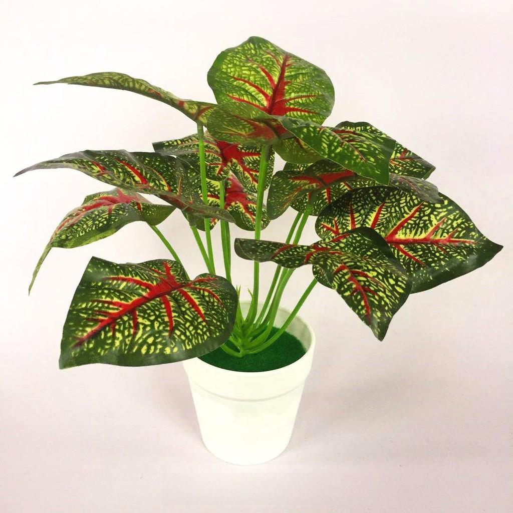 Bicolor Simulated Caladium Artificial Green Plant Potted Indoor Decoration