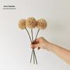 Wabi-Sabi Retro Floral Arrangement with Eucalyptus & Reed Grass for Home Decor & Photography