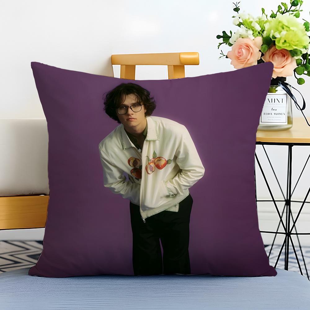 Fashion Pop Melancholic Singer DDavid Kushner Cushion Cover Washable Linen Pillowcase Soft for Sofa Bed Cozy Home Room Decor