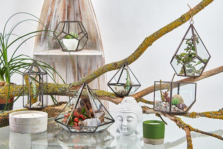 Glass Terrarium, Large Pentagon